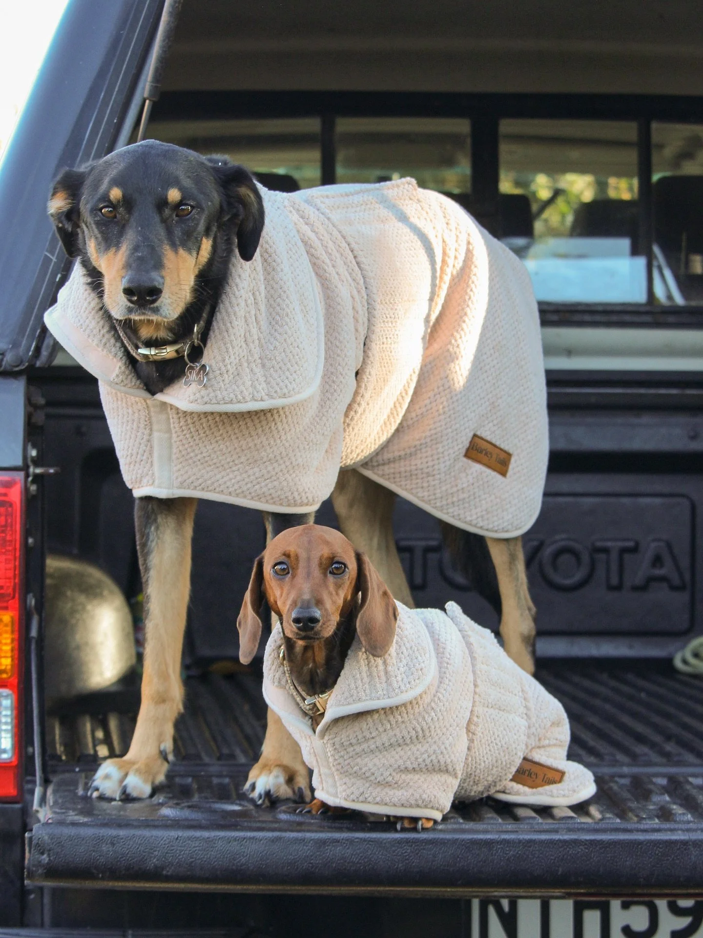 Big or small, muddy missions don&rsquo;t stand a chance 🤎

Sika and Frankie showing how the Mudroom Dog Towel gets the job done &mdash; from paddock runs to backseat snoozes.

Soft, absorbent, and made for dogs who don&rsquo;t know the meaning of &l