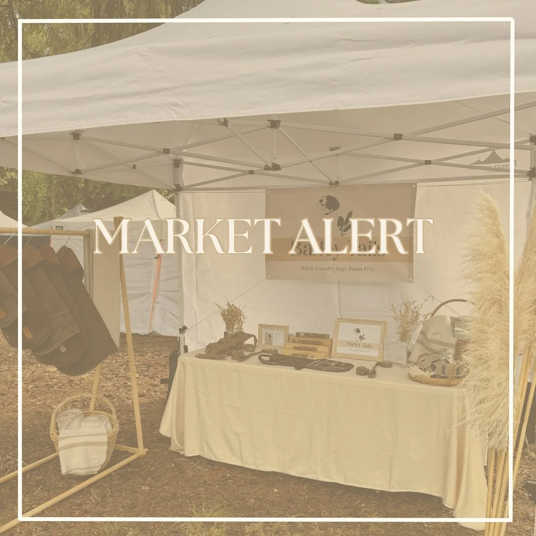Market season is here and we&rsquo;re bringing the Barley Tails experience with us 🤎

Classic tweed collars, durable leads, cosy blankets + the perfect dog towel for summer.

Come shop in person at:
📍 Governors Bay Fete
📍 Christchurch Country Fest