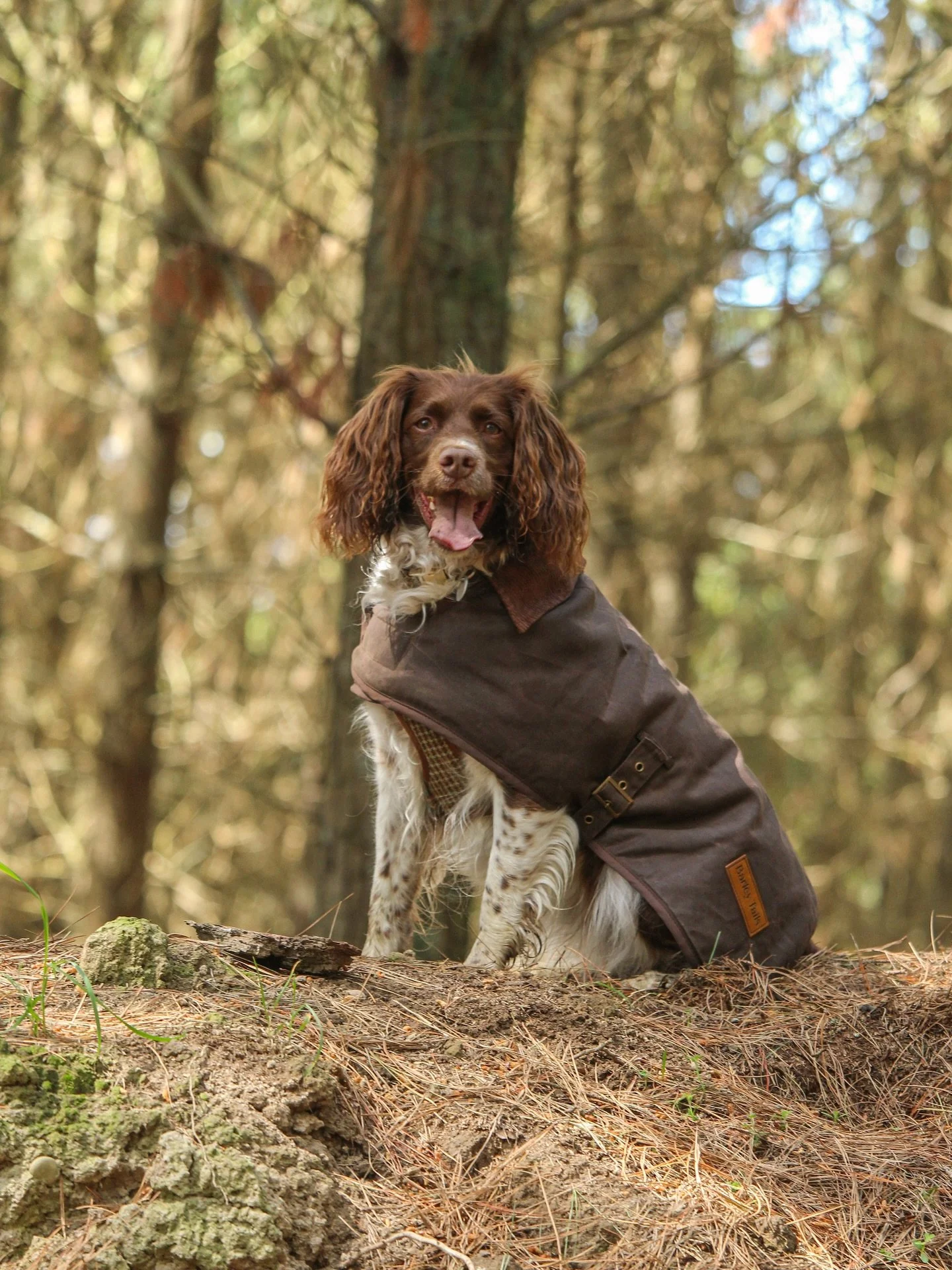 There&rsquo;s something timeless about a wax coat lined with tartan.

A tradition born in the UK countryside &mdash; where dogs roamed rolling fields and followed farmers, hunters, and hikers through misty mornings and muddy tracks.

It&rsquo;s a her