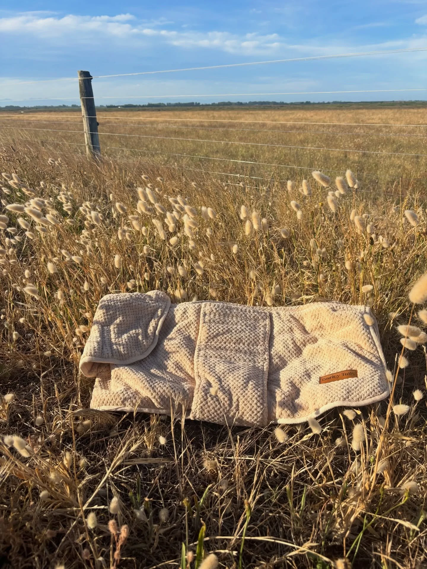 A little collection of some of the many swims these two got up to &mdash; lagoon dips, beach runs and Mac&rsquo;s first ocean adventure 🐾

The Mudroom Dog Towel kept the sand in the car and soaked up every drop by the time we got home.

The perfect 
