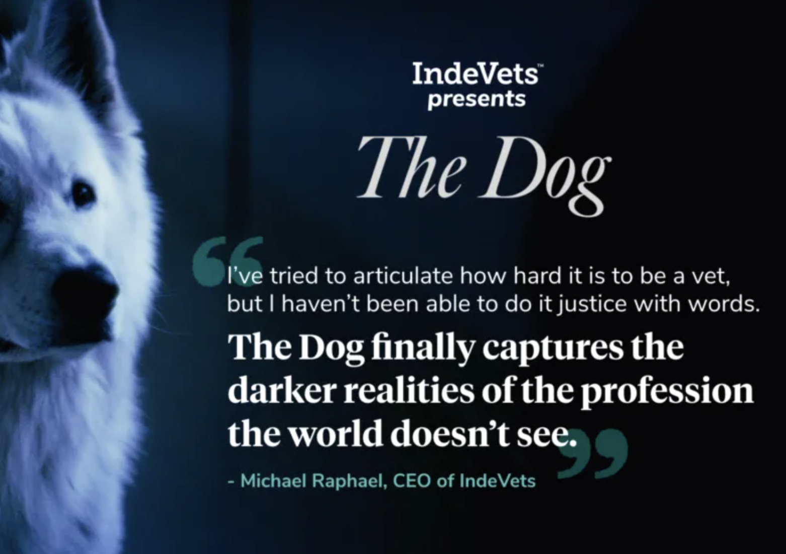 A close-up of a white dog with dark eyes on the left side. To the right, a dark background features text with a quote about dogs and veterinary work, including a quote from Michael Raphael, CEO of IndeVets.