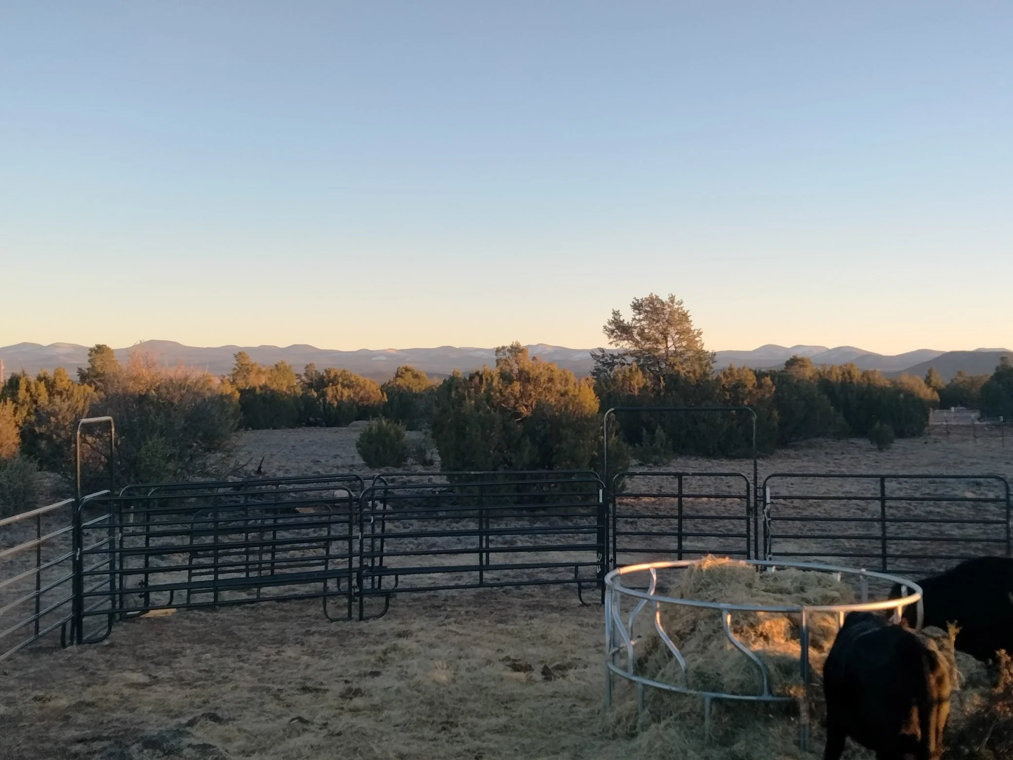 Rusty K Ranch