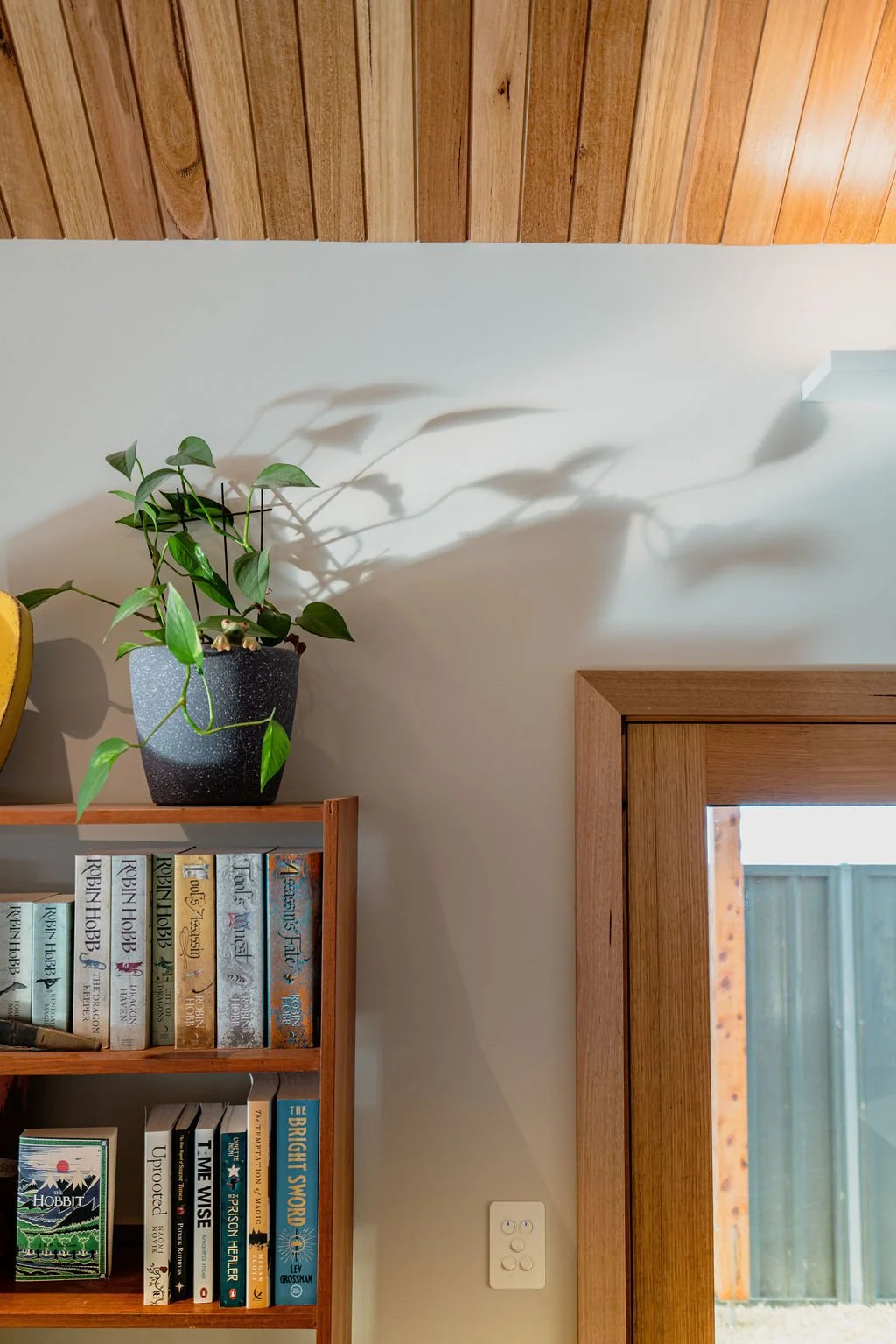 Interior wall with bookshelf, potted plant casting shadows, wooden ceiling, and a door with window.