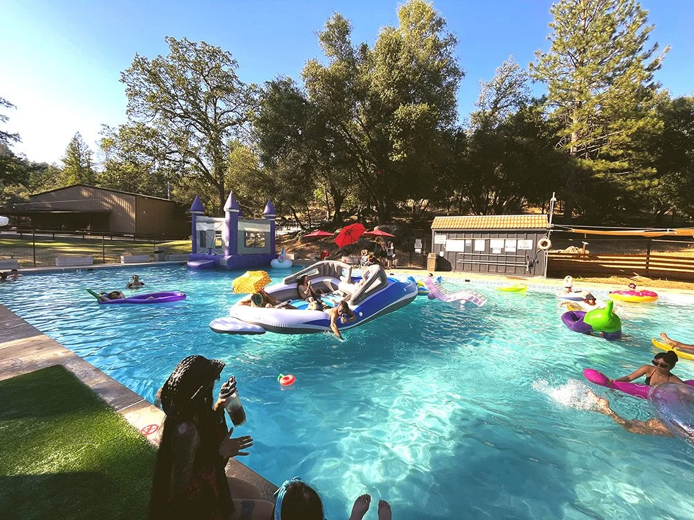 Big Swim Pool Party