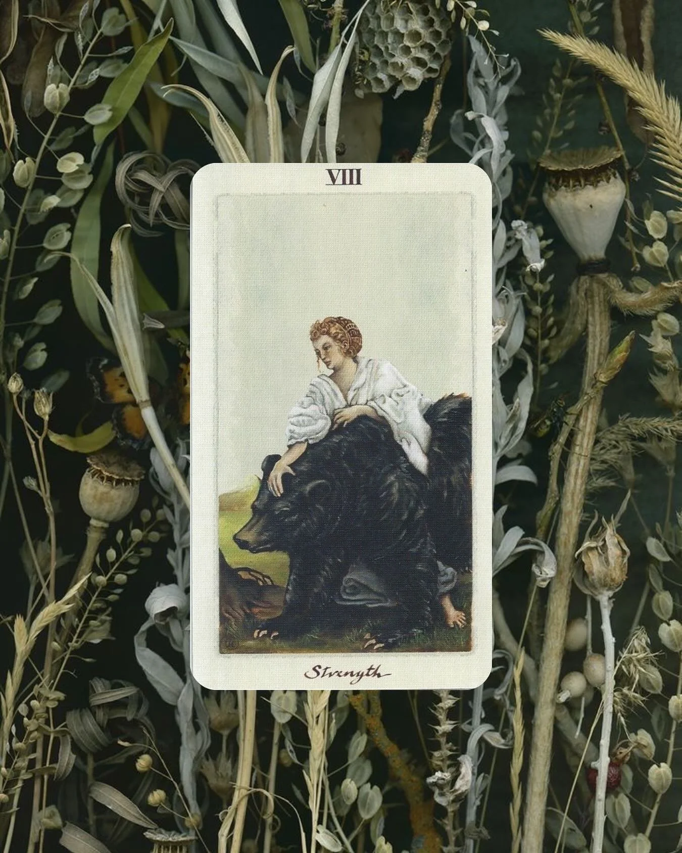 Every year on the anniversary of my procedural aborti0n I intentionally acknowledge the choice I made and try to make space for the messy, nuanced feelings that still sometimes surround my experience. 

From a beach fire ceremony to a closing of the 