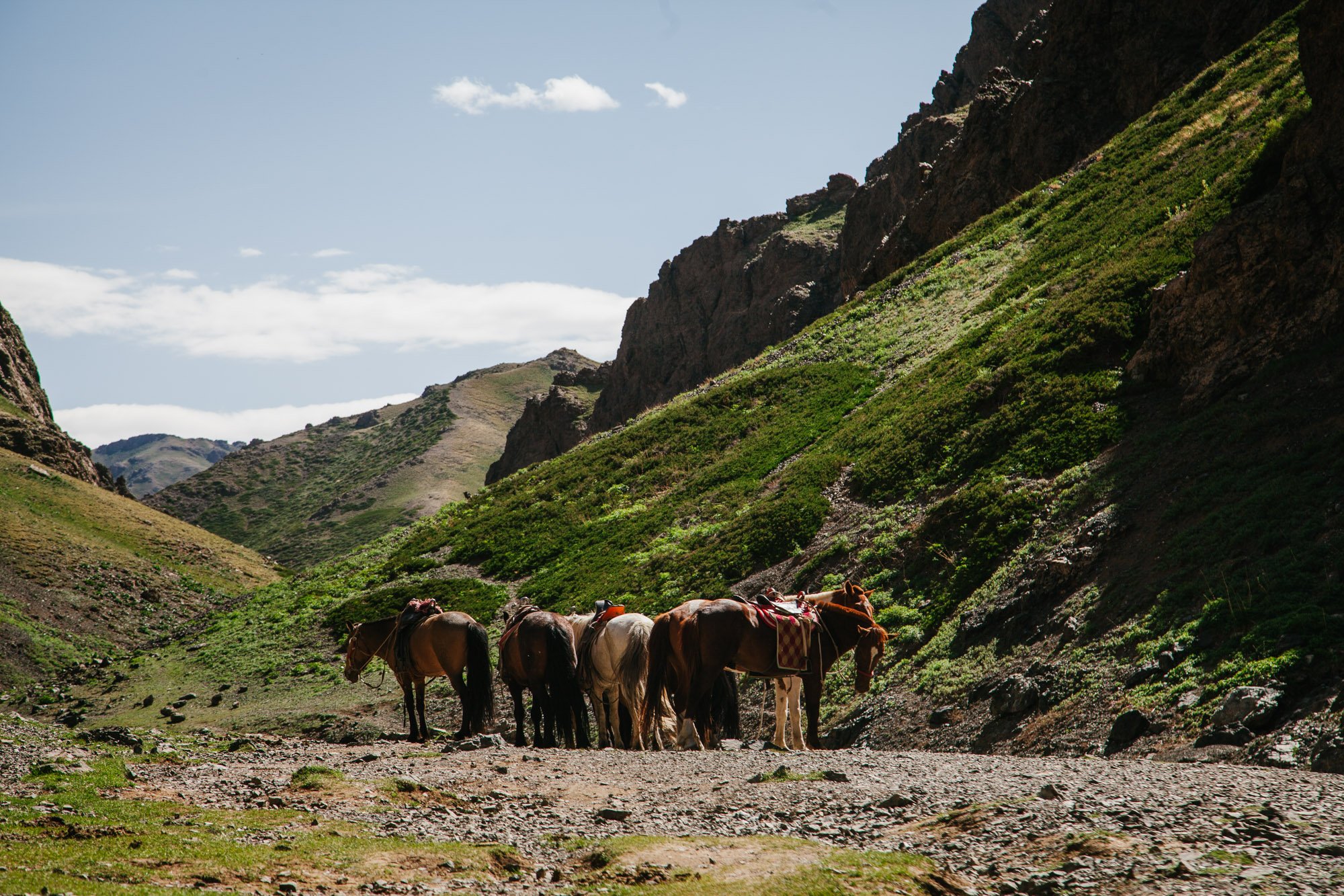 Gobi tour -26.jpg