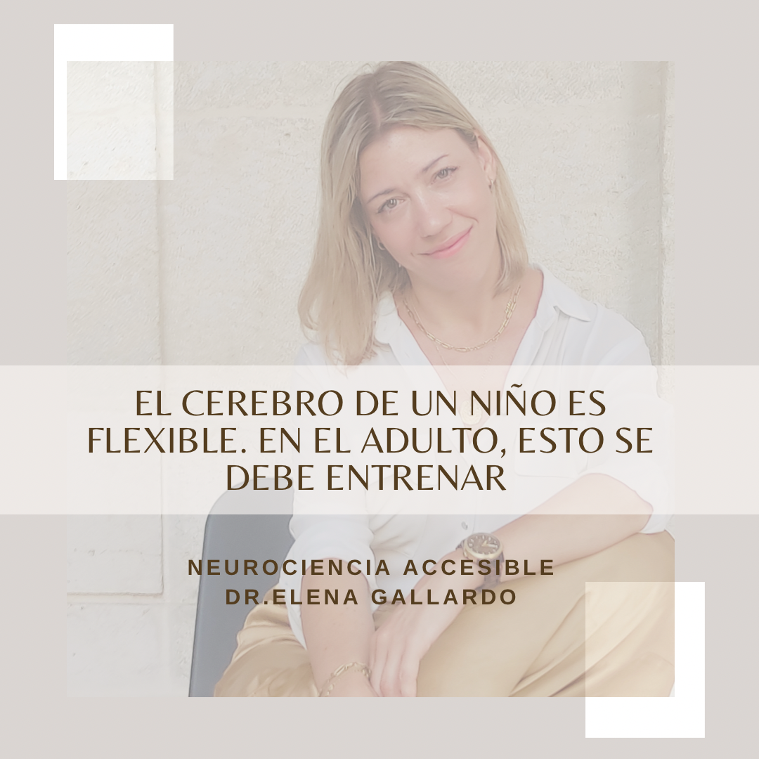Cerebro flexible.PNG