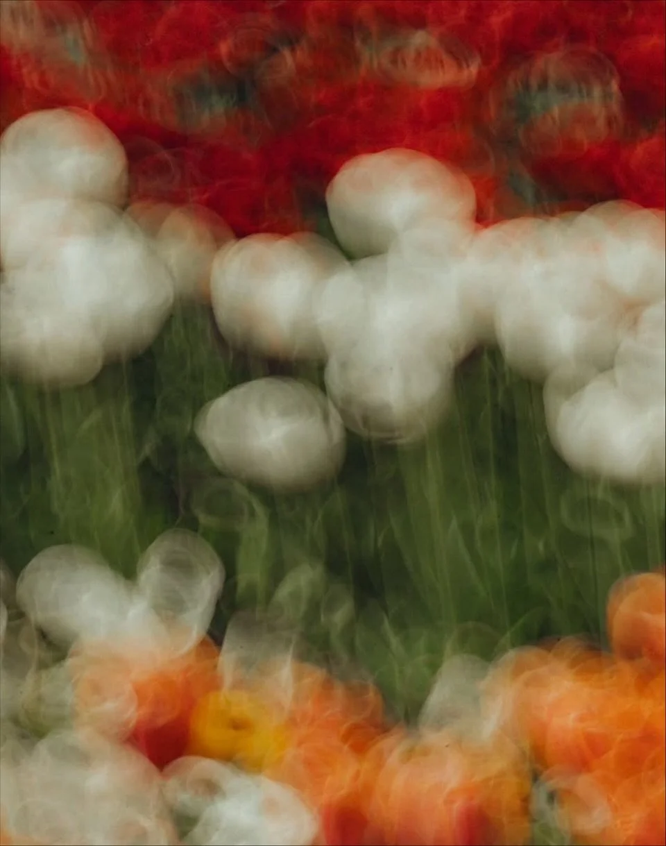 Garden Hangs
by James Tran @jamtuna
.
.
.
.
.
.
.
#strikefancy #inspiration #curation #art #design #photography #picoftheday #instadaily