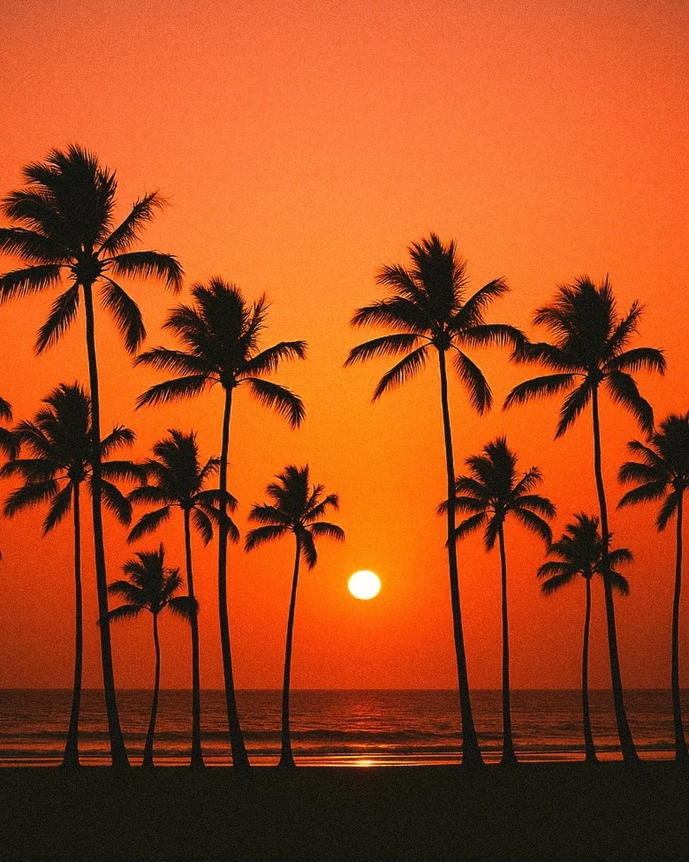 🌴🌴
by Will Nichols @willnichols
.
.
.
.
.
.
.
#strikefancy #inspiration #curation #art #design #photography #picoftheday #instadaily