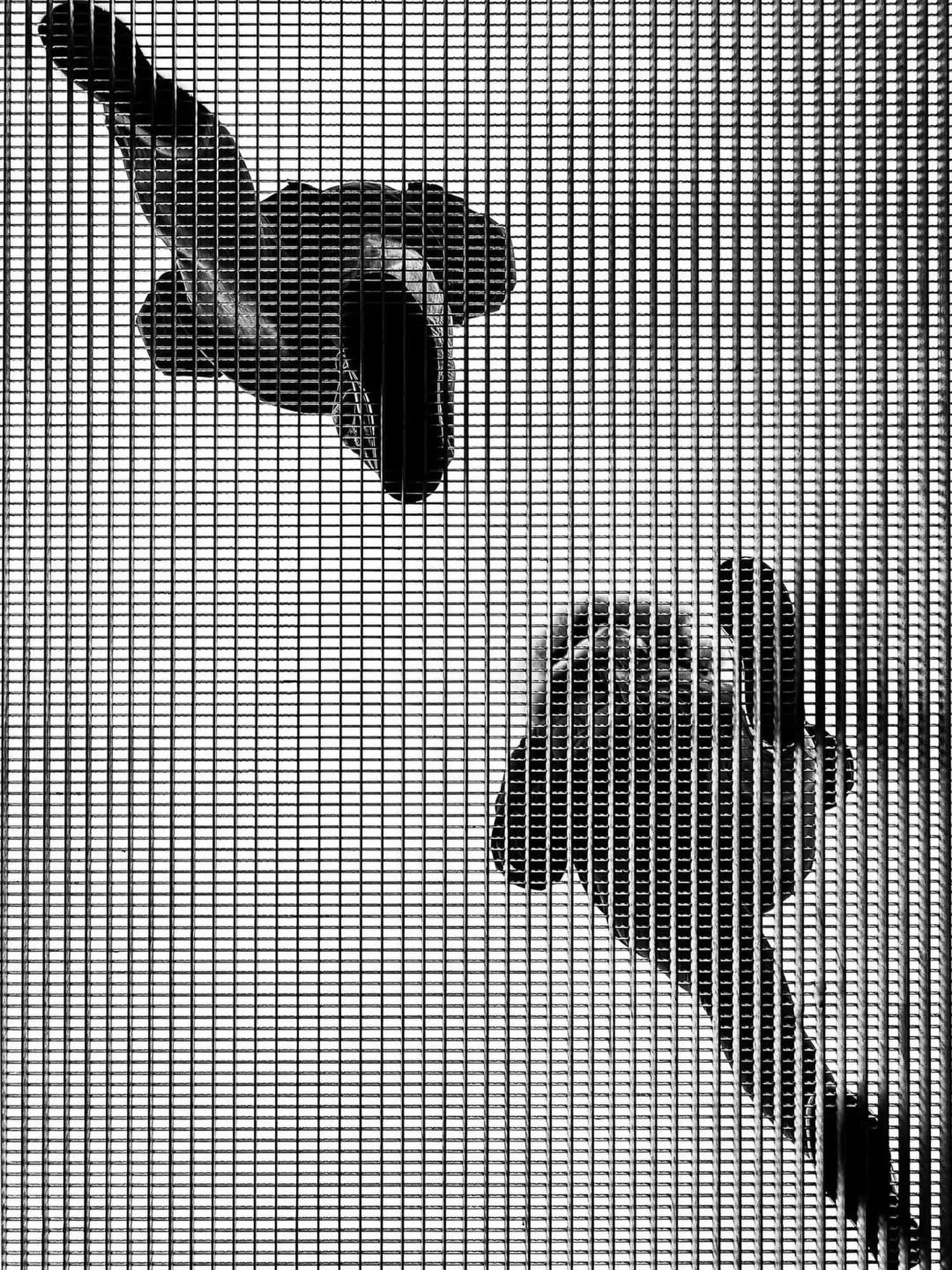 by OVIDIU ȘELARU @ovidiuselaru_
.
.
.
.
.
.
#curation #inspiration #art #photography #design