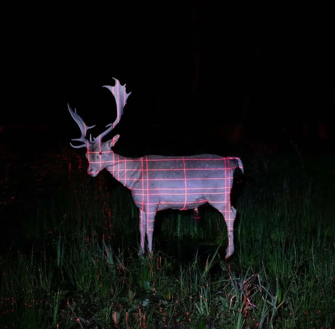 Daim naturalis&eacute;, lasers.
by Bastien Cuenot @bastiencuenot_
.
.
.
.
.
.
#curation #inspiration #art #photography #design