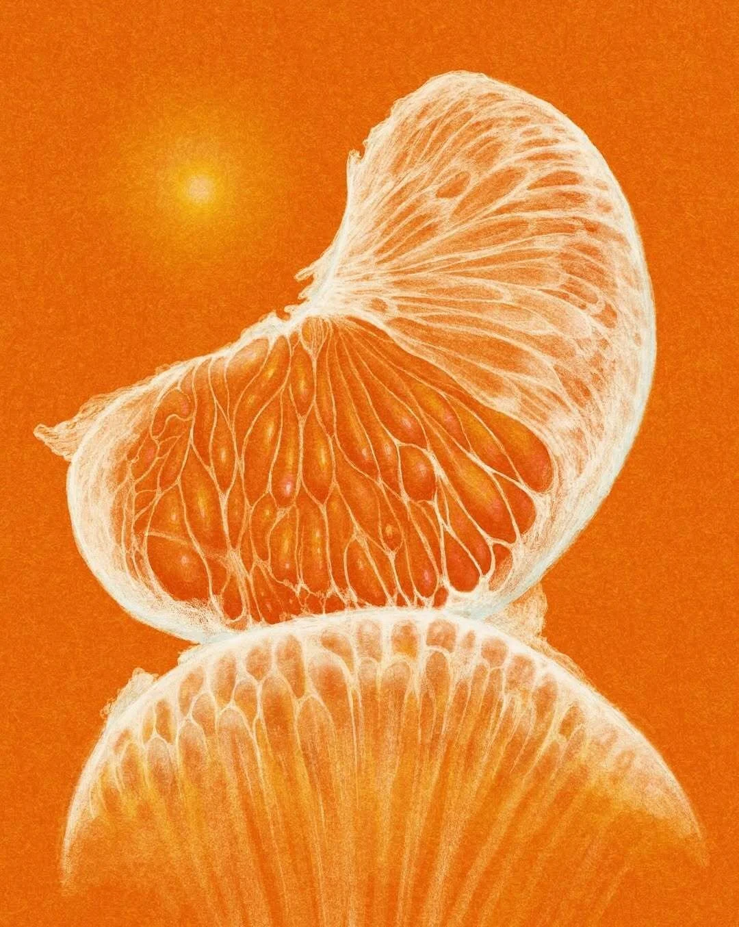 Tangerine 🍊
by O Terawat @oterawat
.
.
.
.
.
.
#curation #inspiration #art #photography #design
