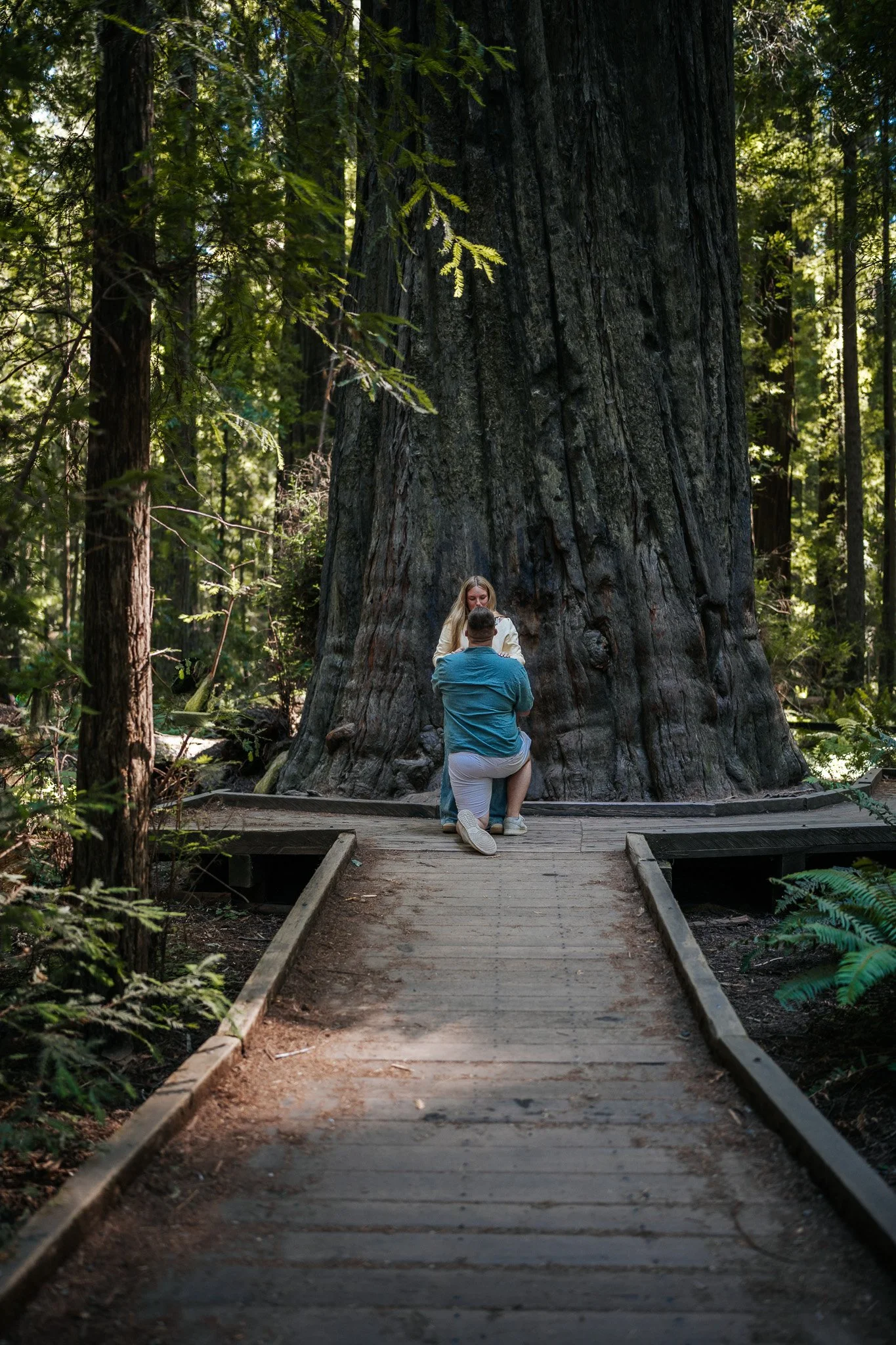 redwoods-surprise-proposal.jpg