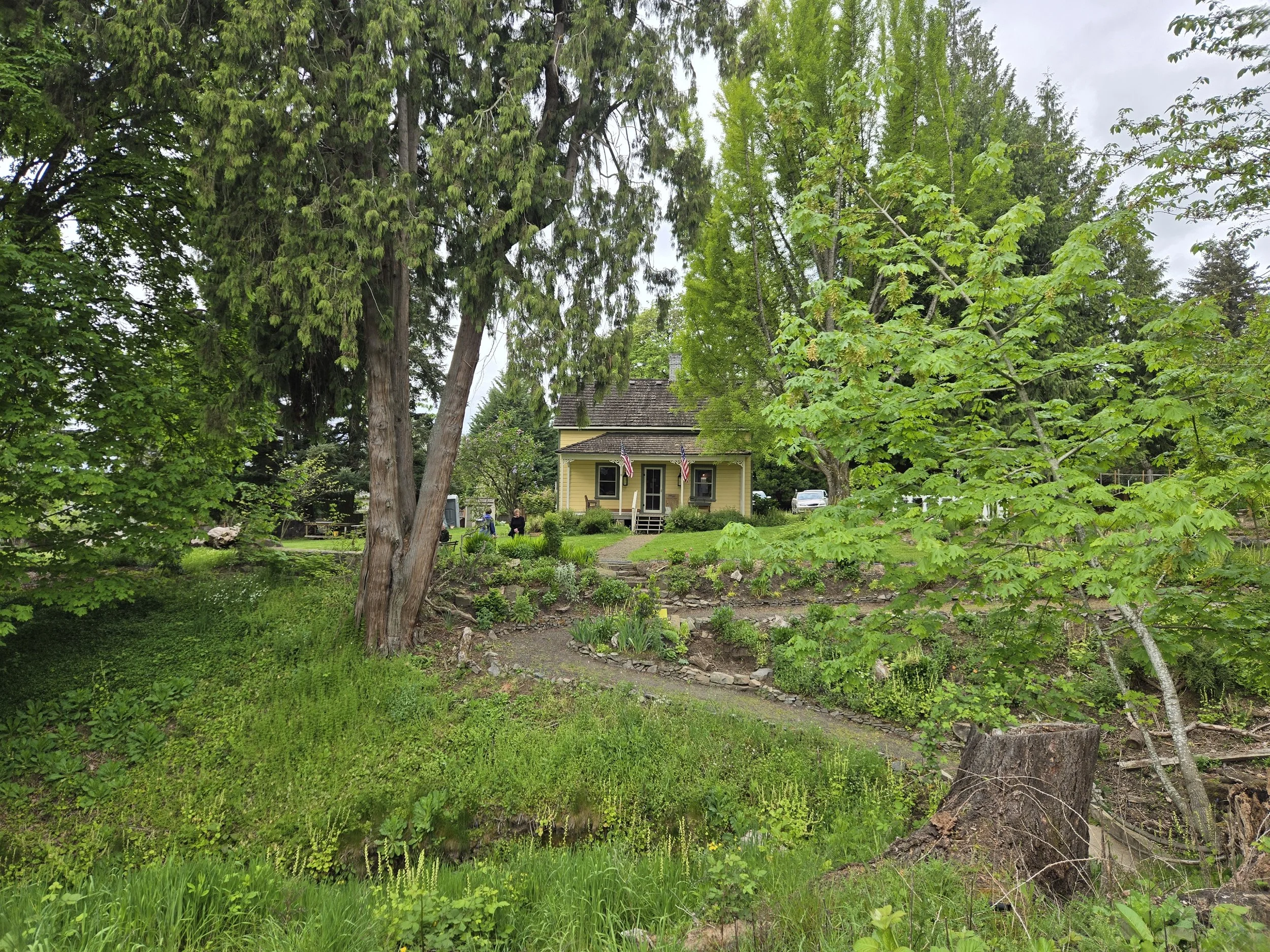Spring at the Arboretum