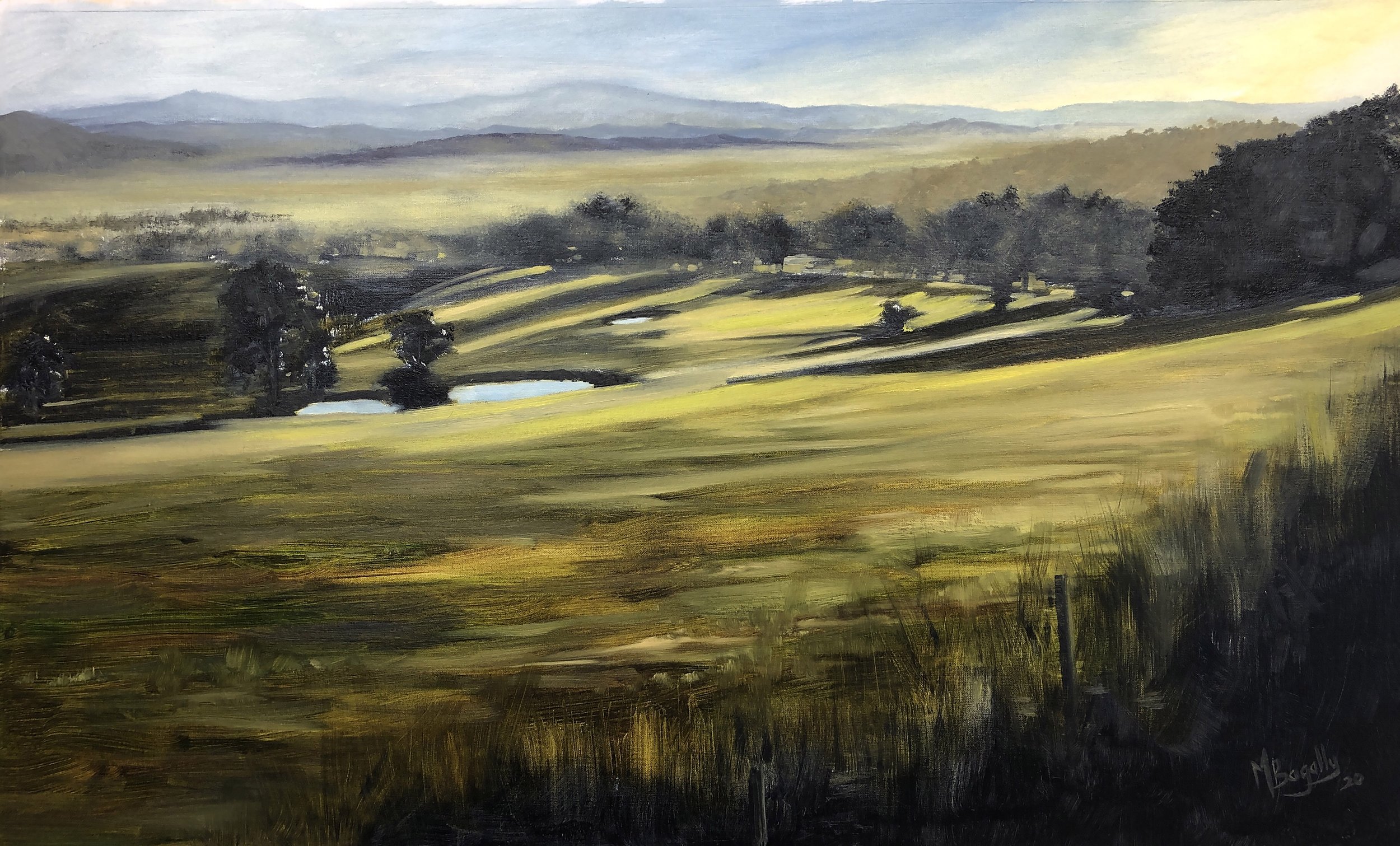 MORNING LIGHT KANGAROO GROUND - Mark Bagally
