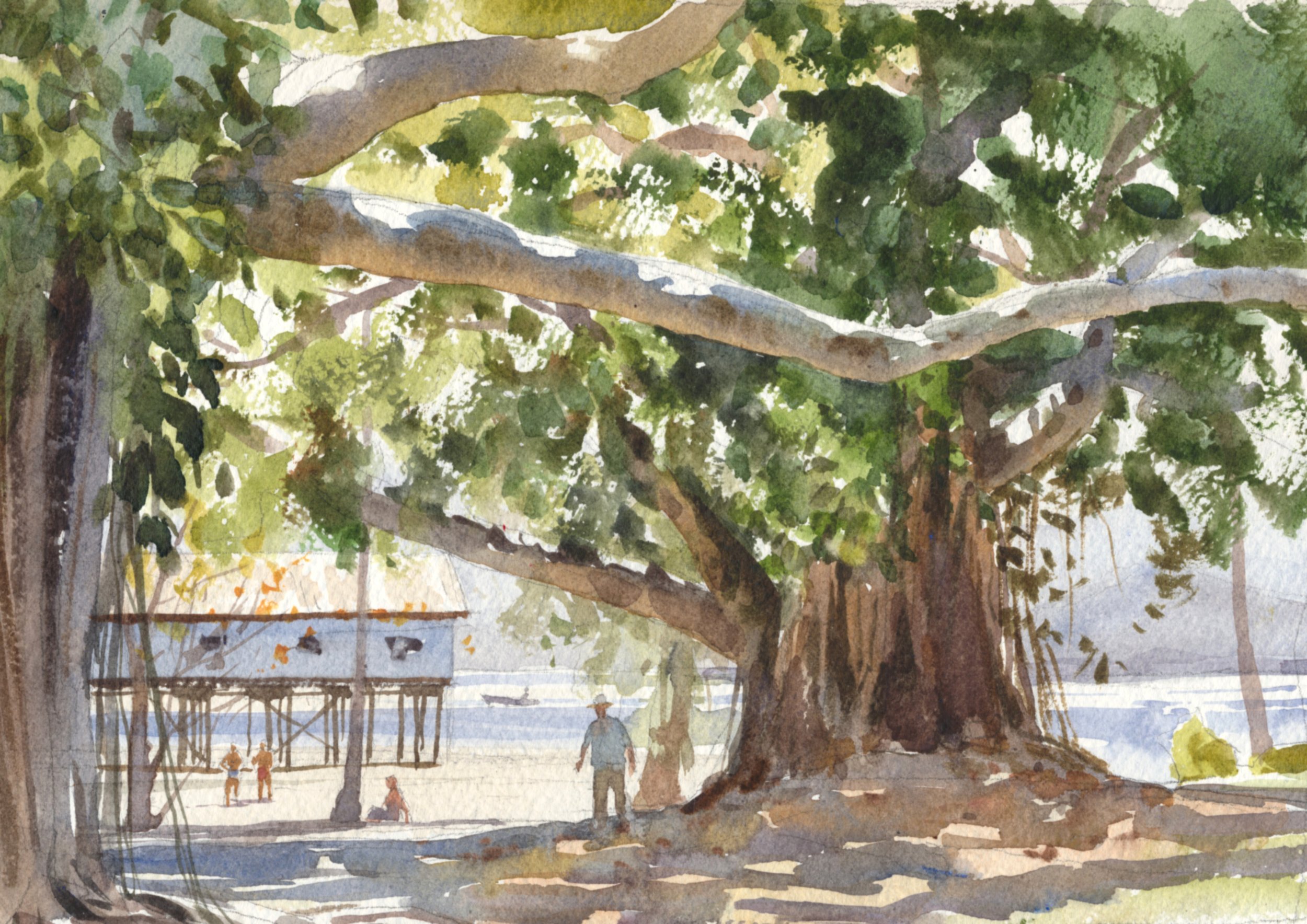 PORT DOUGLAS TIN - Mike Kowalski