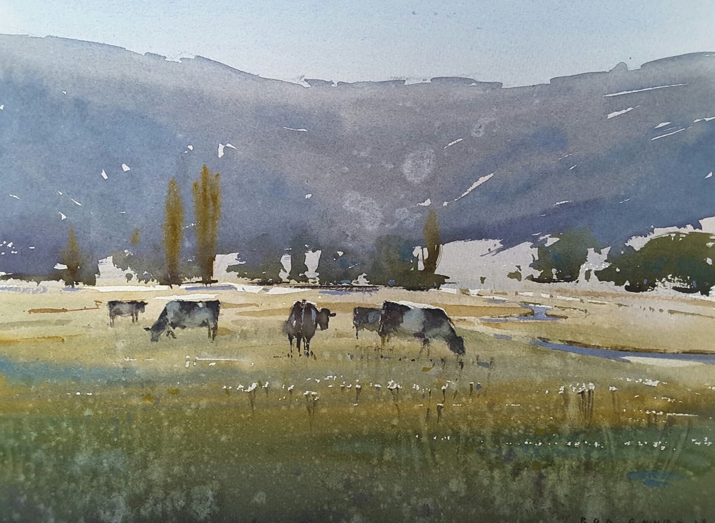COW PASTURES GUNNS PLAINS TASMANIA - Rob Candy