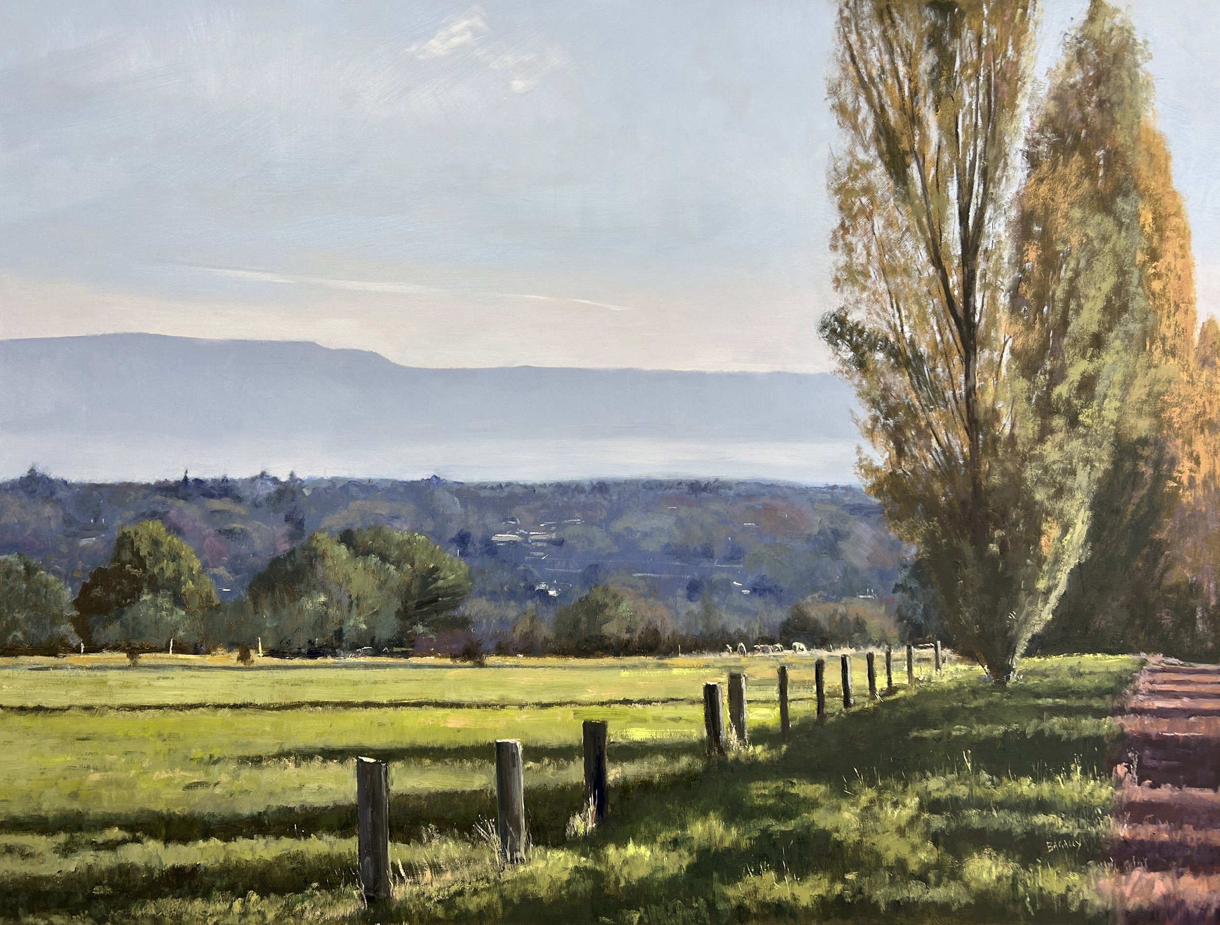 VIEW TOWARDS LONGFORD TAS - Mark Bagally