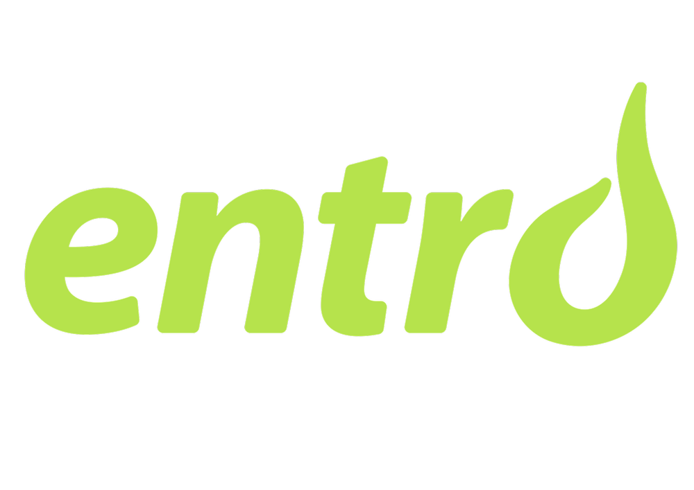 Elhub | Få innsikt – Handle nå — Entro