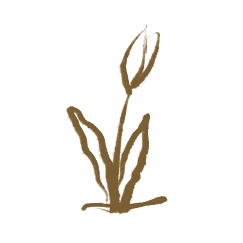 Hand-drawn plant icon symbolising business growth through strategic brand identity design