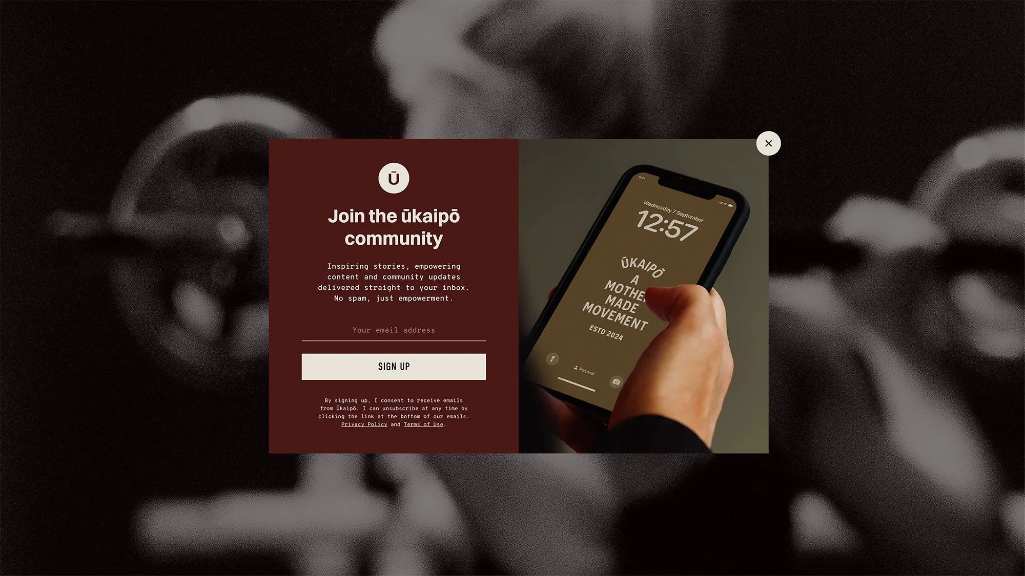 ŪKAIPŌ responsive website design on mobile device with burgundy brand colors and modern layout.