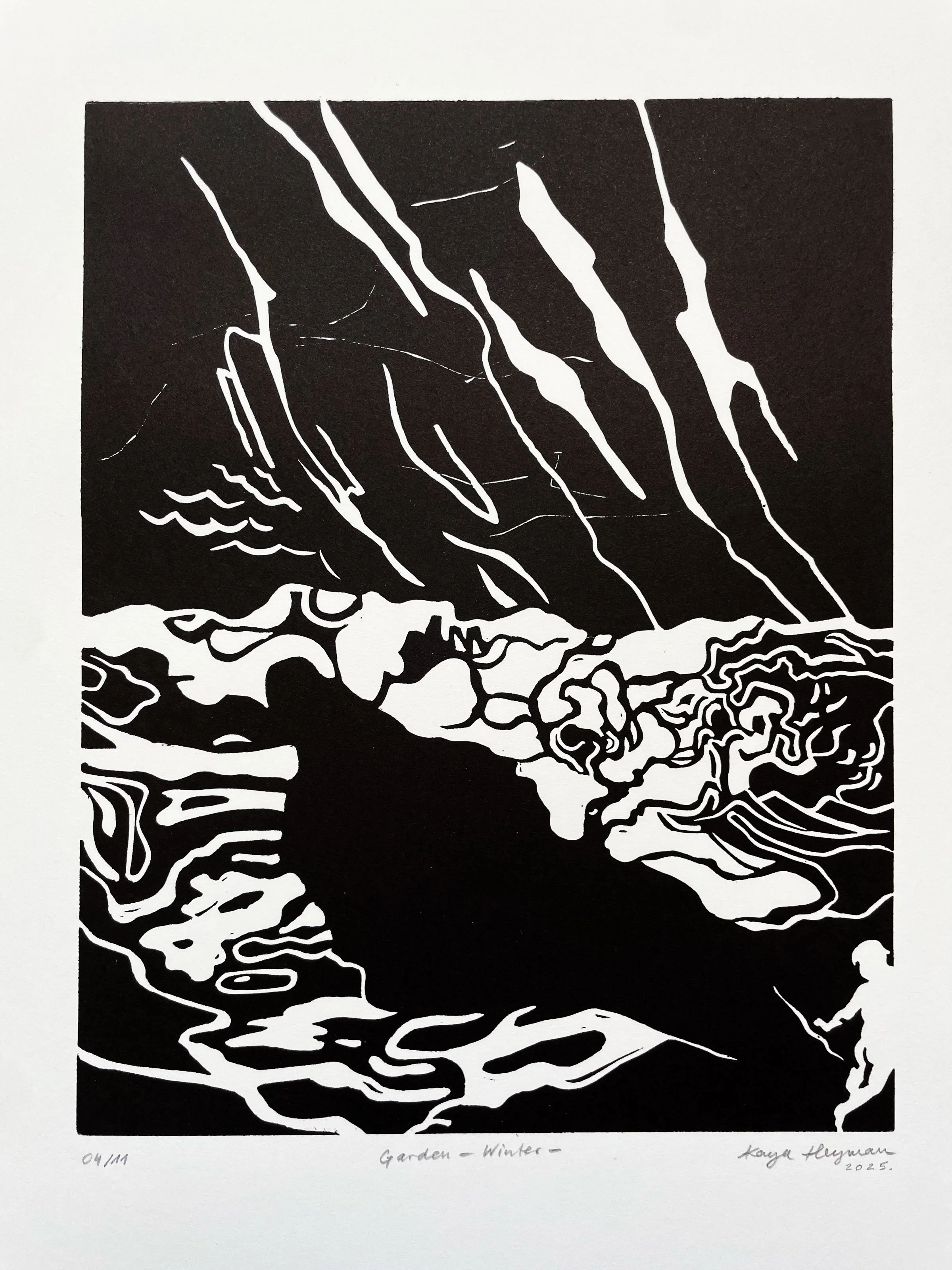 Garden — Winter —