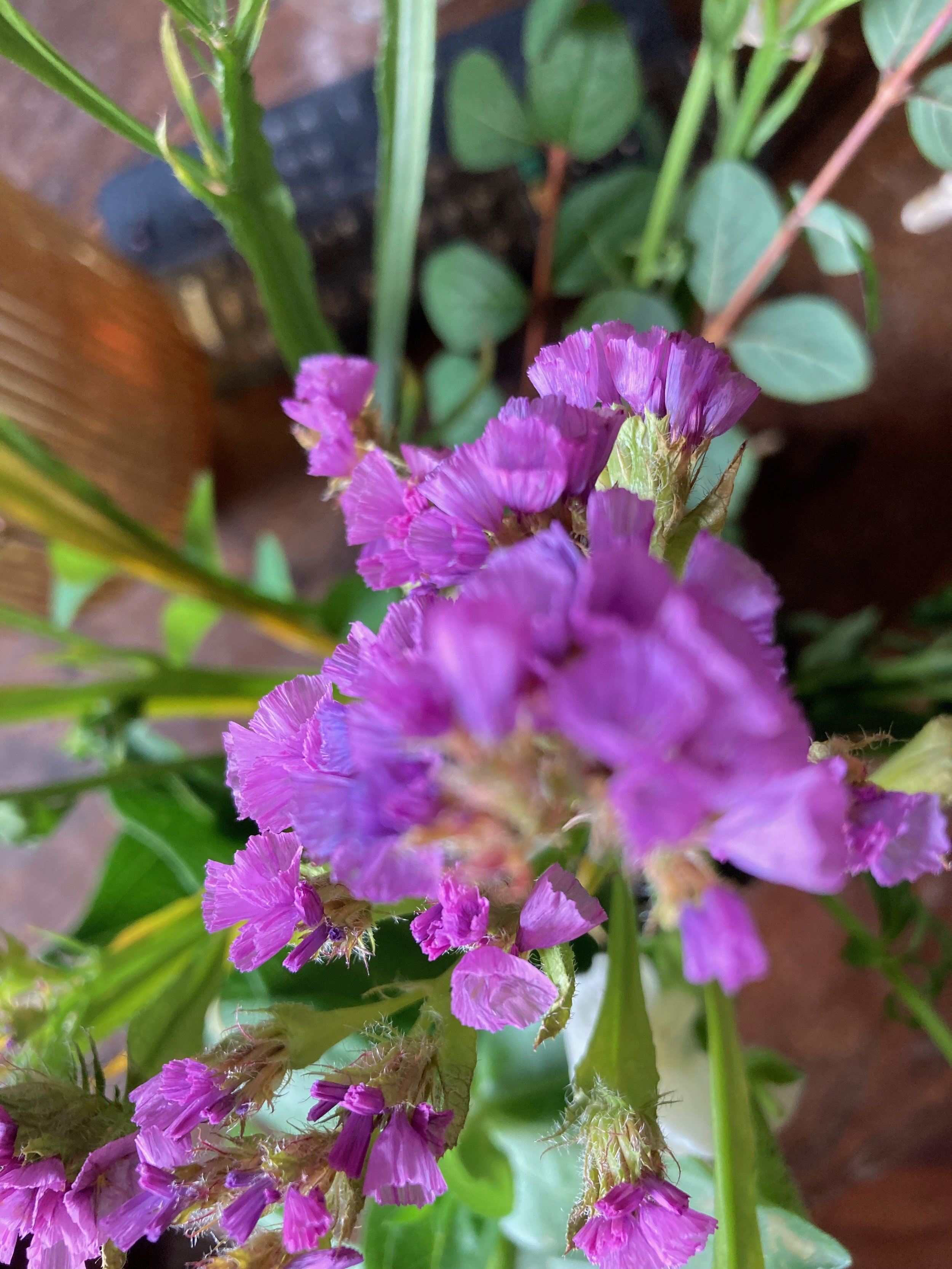 IMG_5380.jpeg