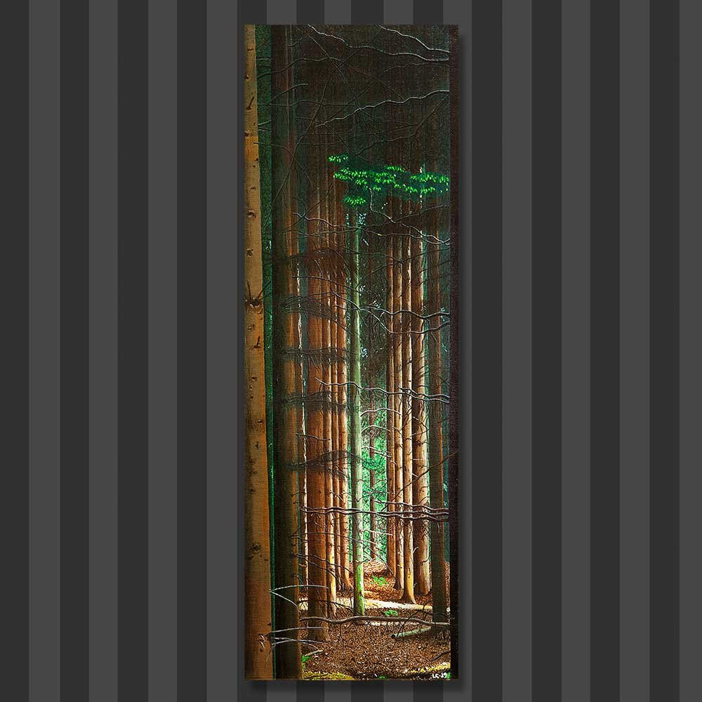the-forest-call-copy.jpg