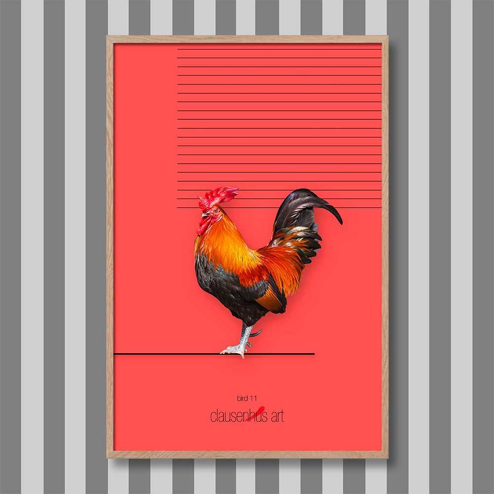 titre: oiseau 11