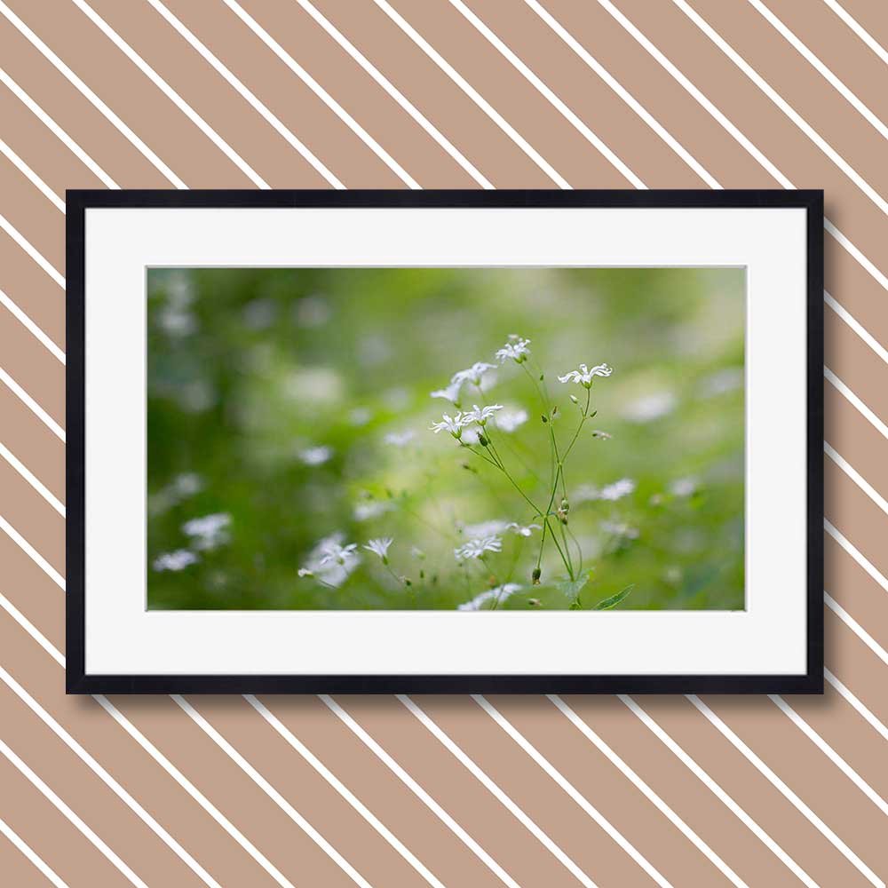 titre: voile de fleurs