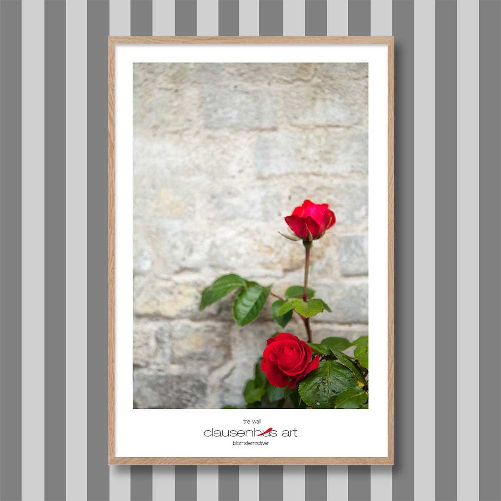 titre: le mur