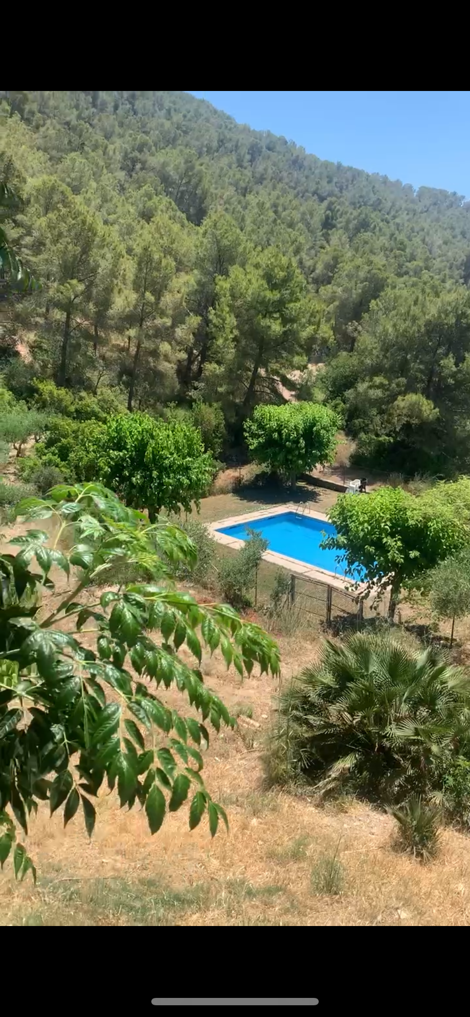 pool.PNG