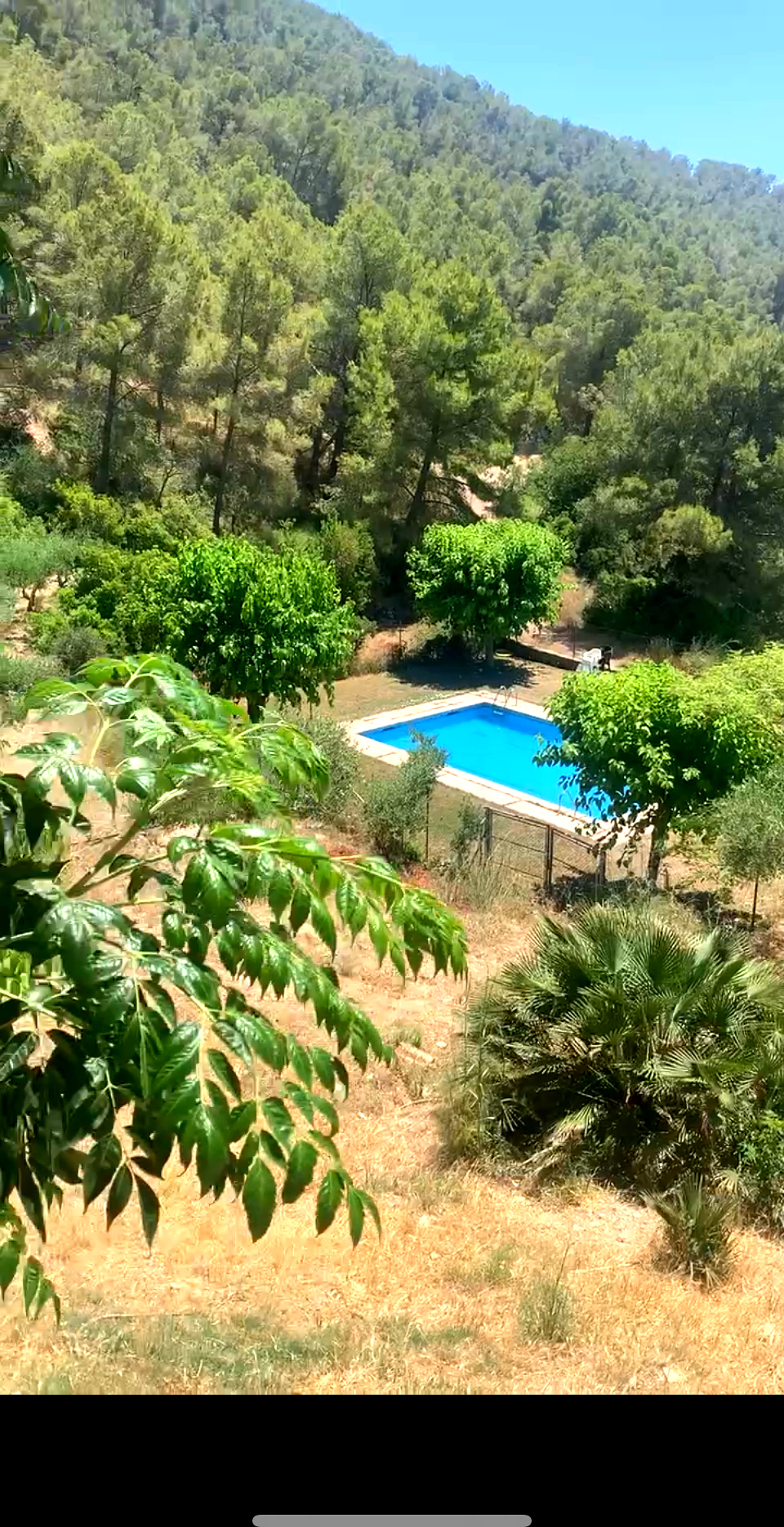 pool (1).PNG