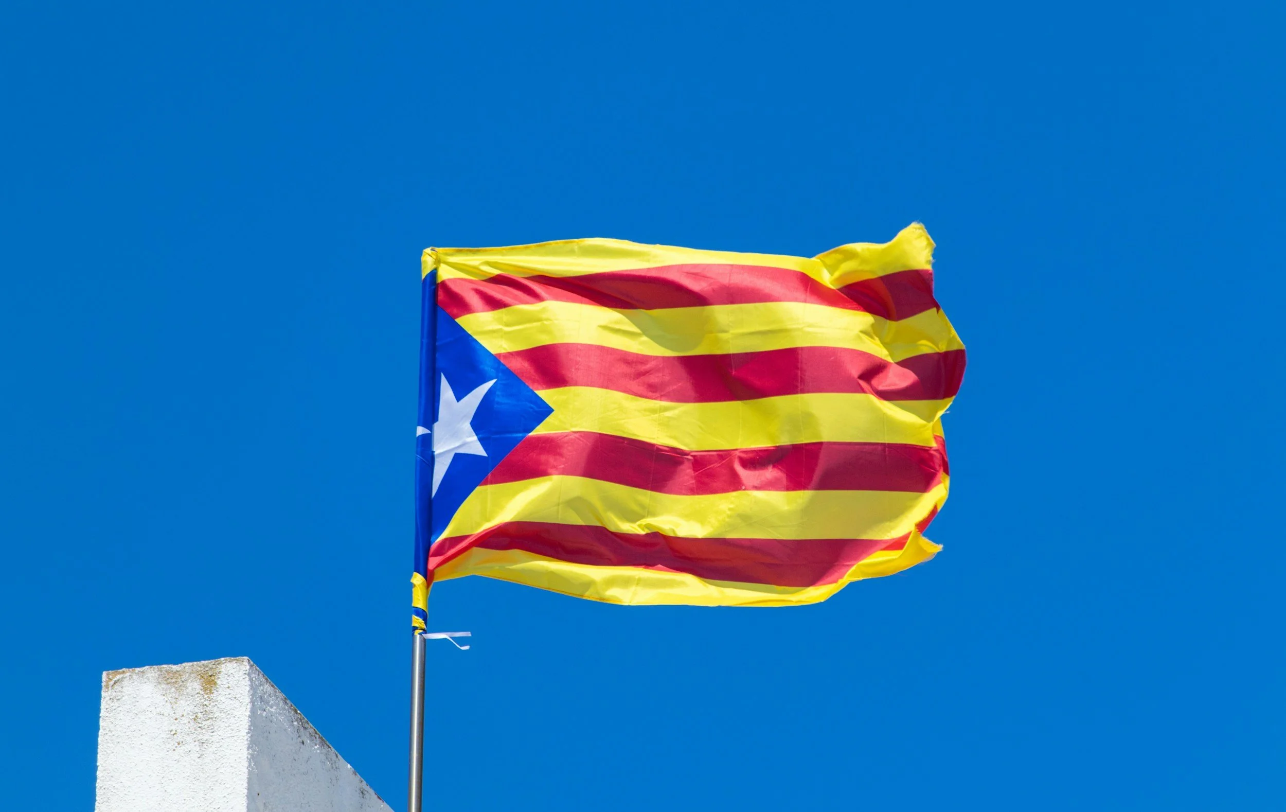 FESTA: Megadiada de Can Salvet