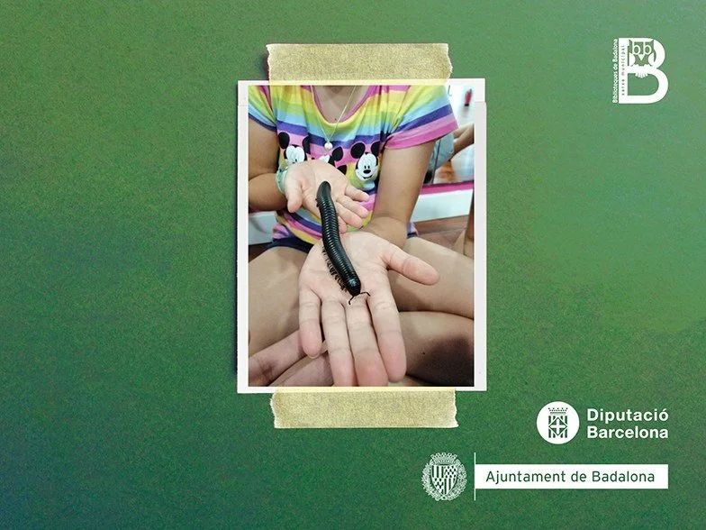 TALLER de coneixement: Mira, toca i descobreix els invertebrats