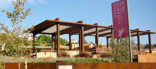 VISITA guiada al jaciment de Vallmora