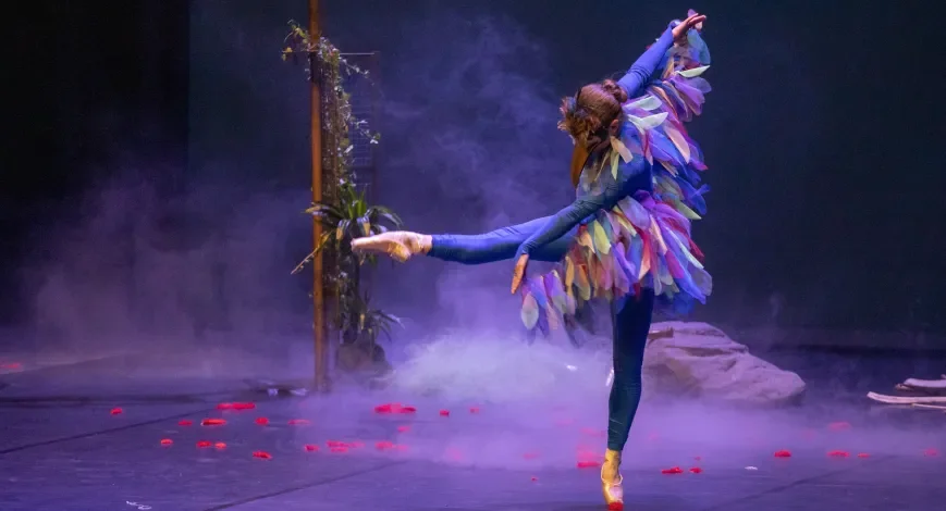 ESPECTACLE: El carnaval dels animals