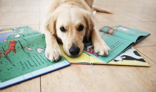 CONTE: Taller de lectura assistida amb gossos