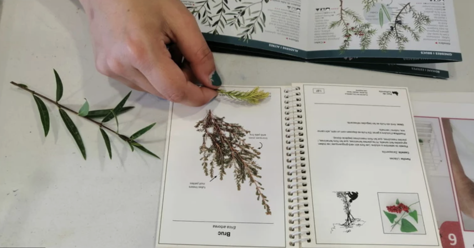 TALLER: Fulles al jardí de Can Boet
