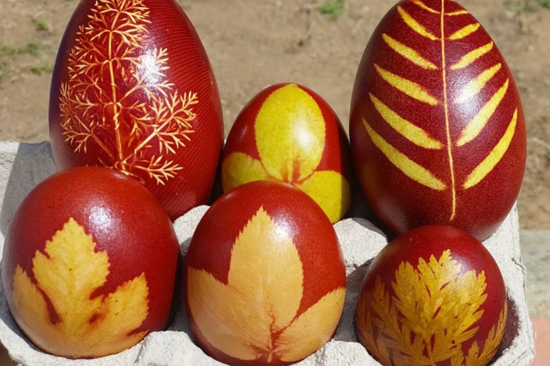 VISITA: Taller ous de Pasqua a Can Pins