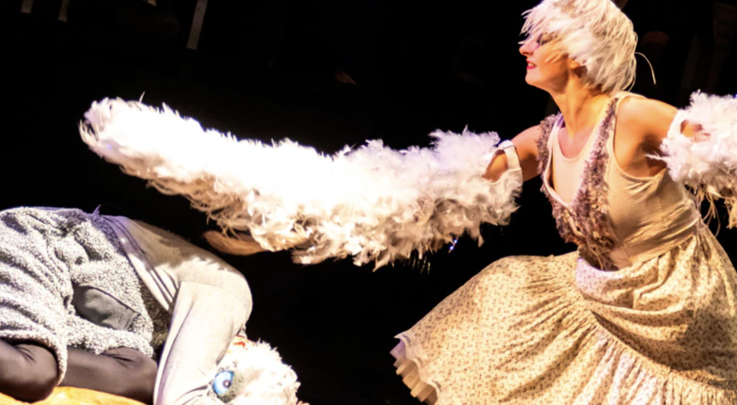 ESPECTACLE: L'aneguet lleig