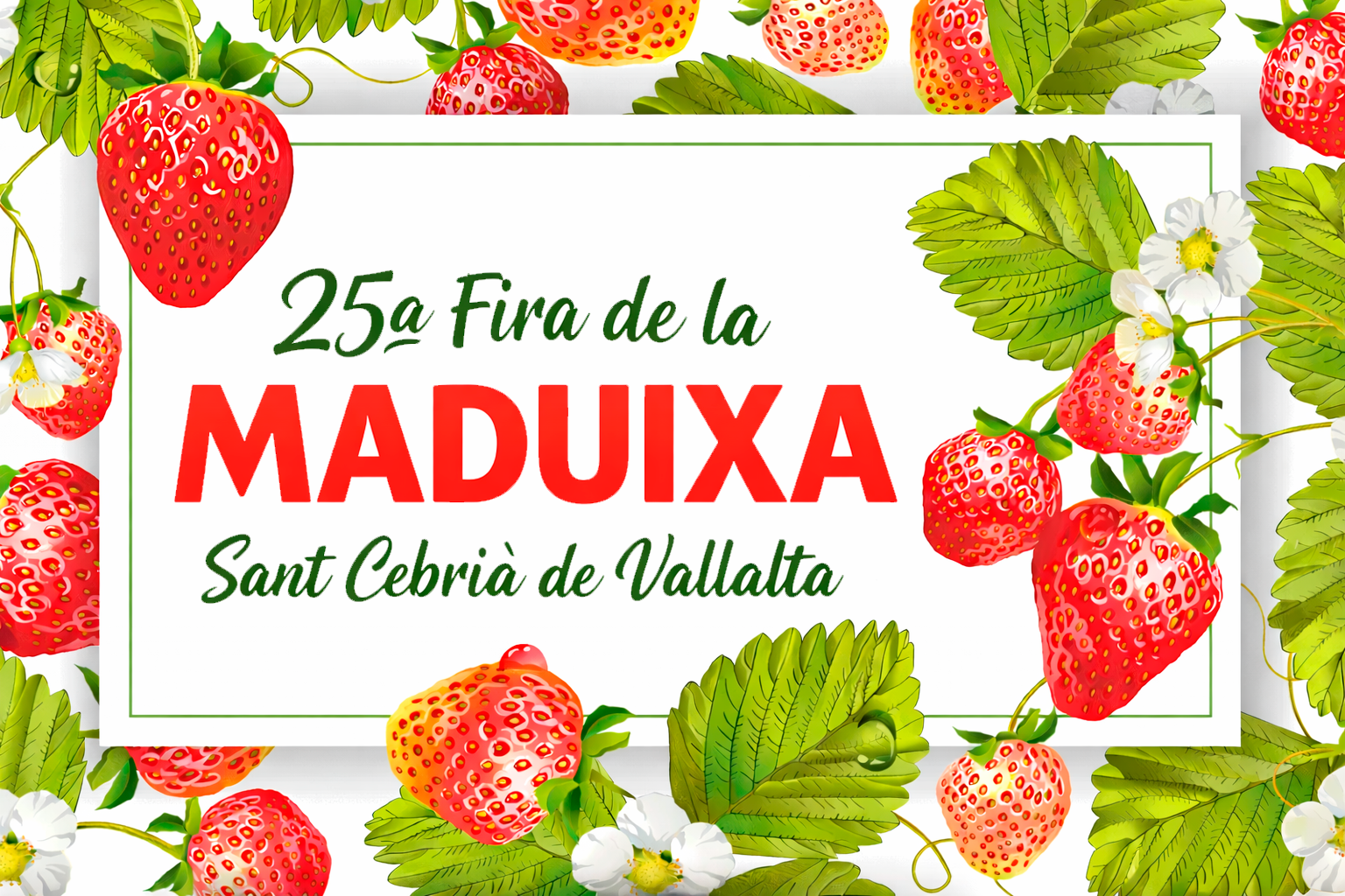 FIRA de la Maduixa: 25 Aniversari!