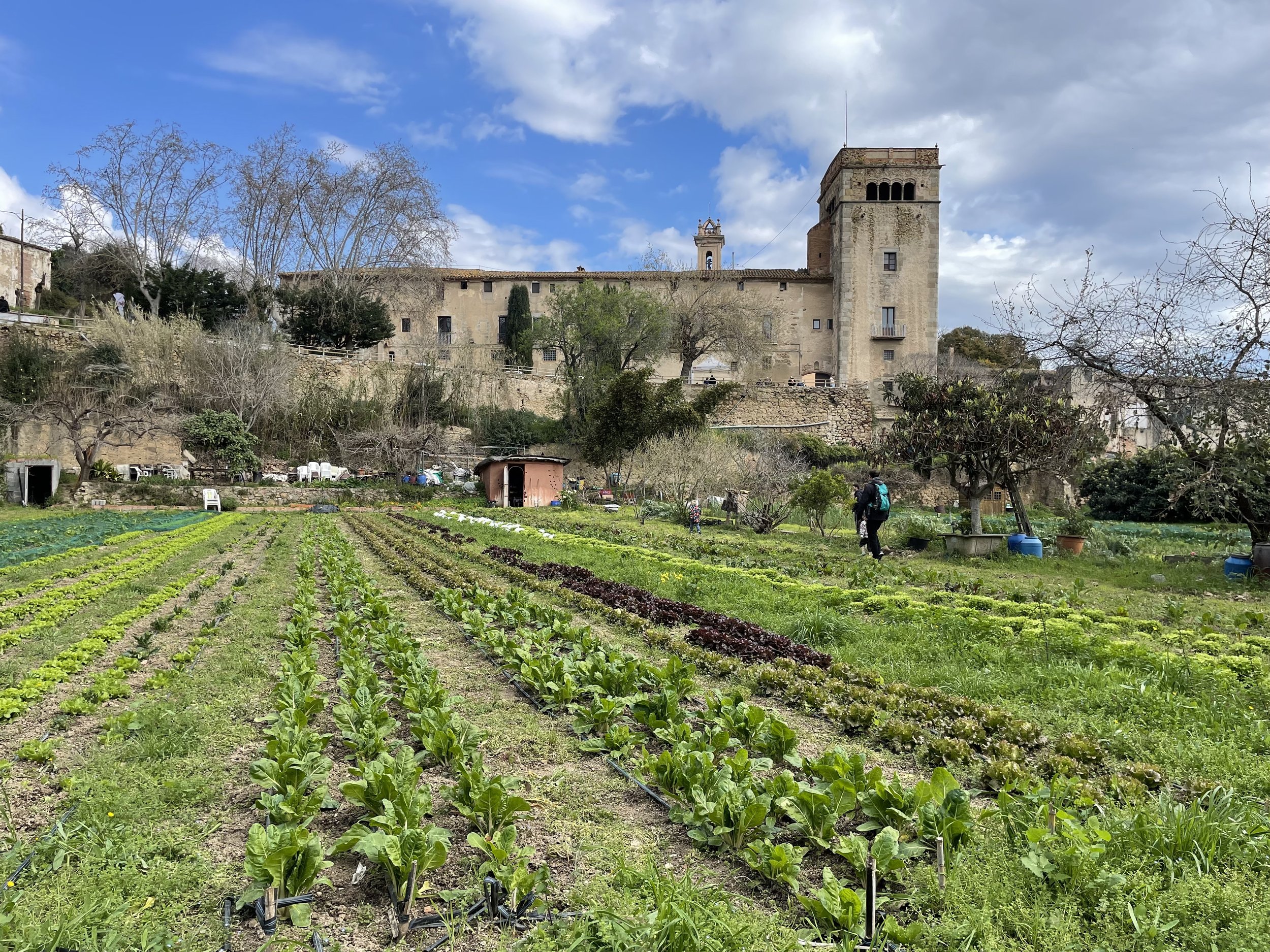 PASSEJADA: Del turó de l’Enric als horts ecològics de Sant Jeroni de la Murtra: tastet ecològic