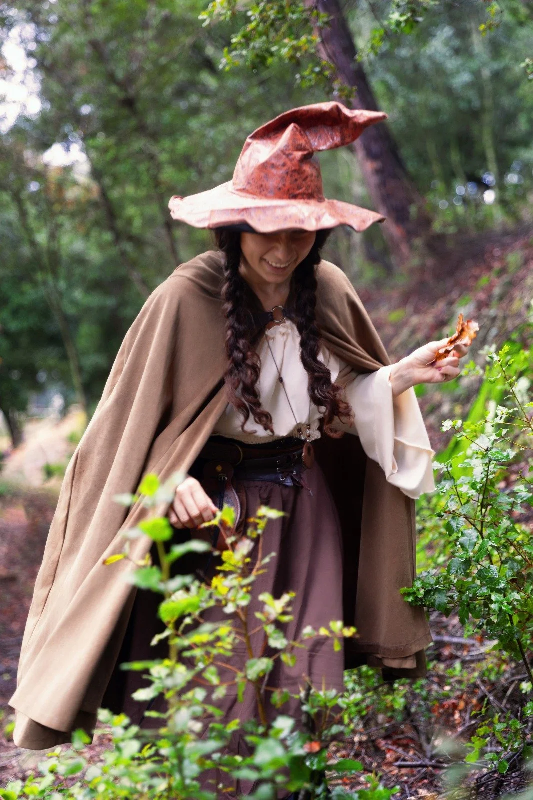 TALLER: Bosc de les trementinaires