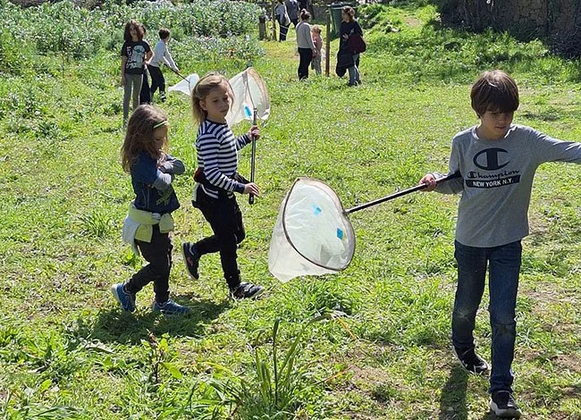 JORNADA: La primavera a la serralada de Marina