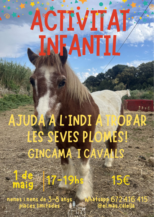 VISITA: Gimcana i Cavalls a El Mas Salvador