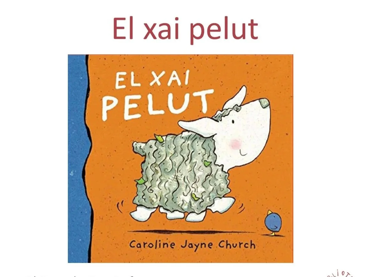 CONTE: el xai pelut