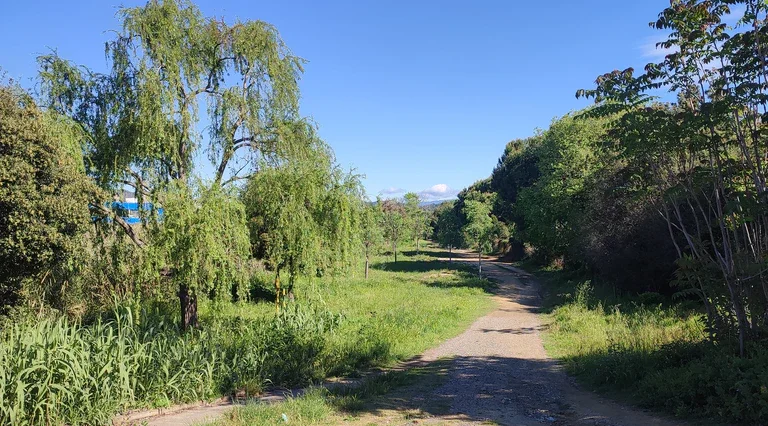 EXCURSIÓ: Explora la natura a Mataró: La riera d'Argentona