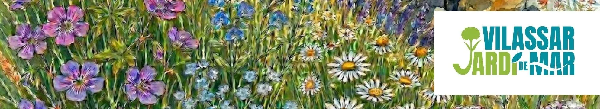 FESTIVAL: Jardí de Mar