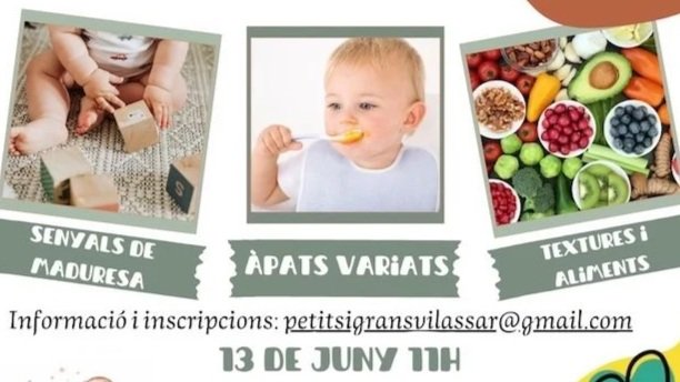 TALLER d'alimentació complementària / BLW